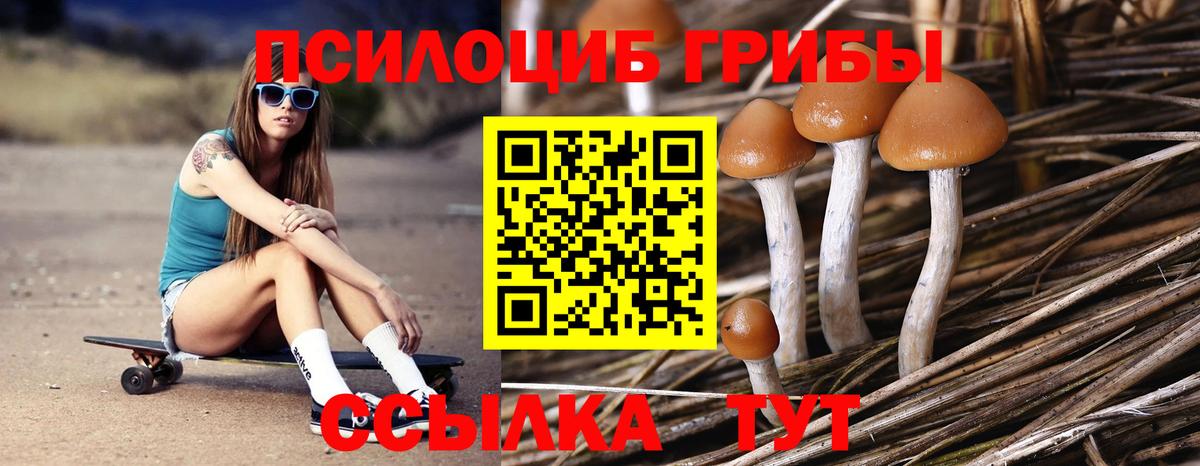 Псилоцибиновые грибы Psilocybine cubensis Еманжелинск