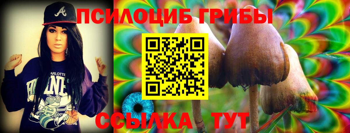 Еманжелинск  Псилоцибиновые грибы прущие грибы  Вход с VPN 
